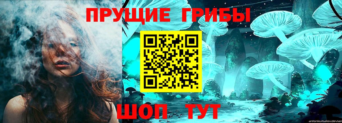 Каменка  Псилоцибиновые грибы Psilocybe  Псилоцибиновые грибы Magic Shrooms  Вход с VPN 