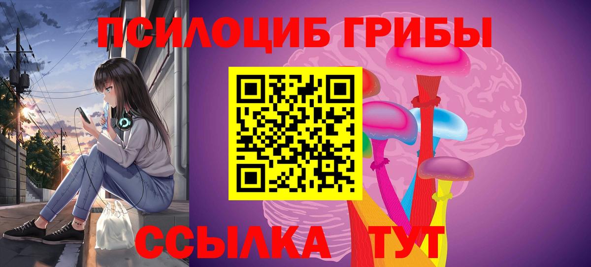 Галлюциногенные грибы мицелий Каменка